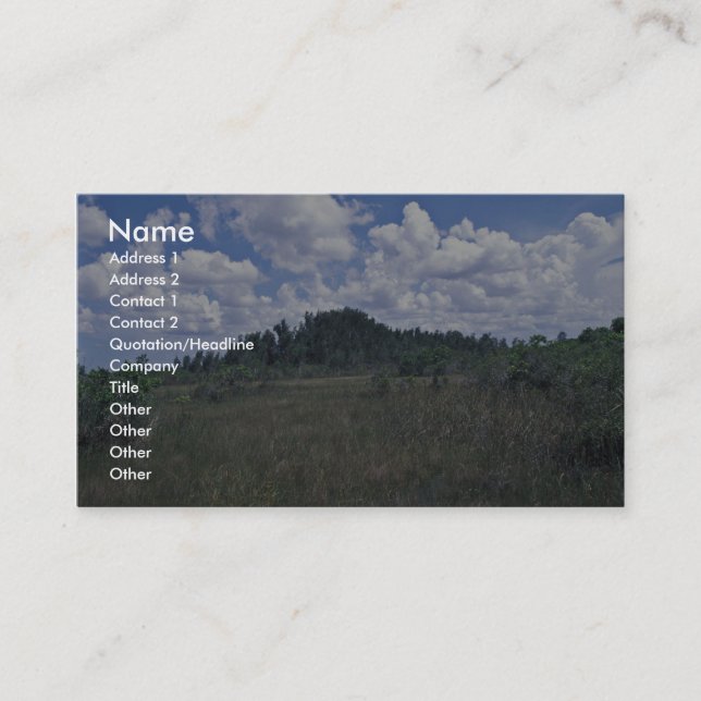 Melaleuca Business Card (Front)