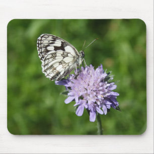 Melanargia galathea mouse pad