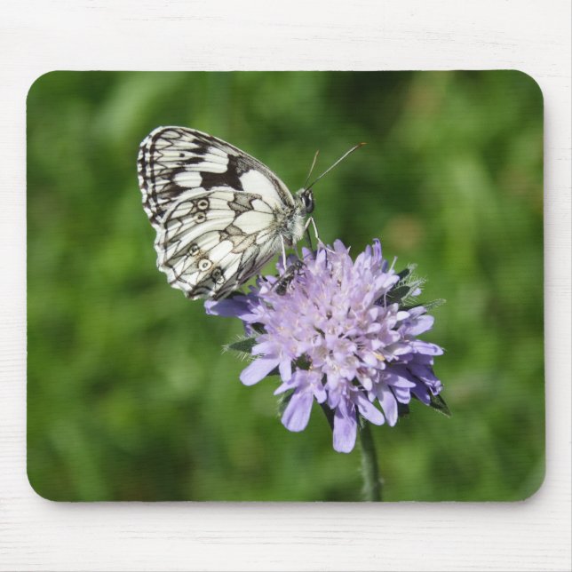 Melanargia galathea mouse pad (Front)