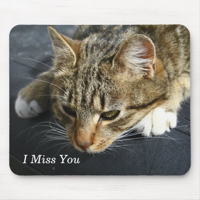 [Melancholy Cat] I Miss You Mouse Pad (Front)