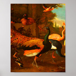 Melchior d'Hondecoeter - Birds in a Park Poster