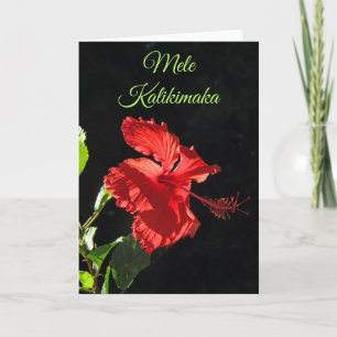 Mele Kalikimaka Card