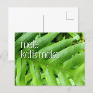 Mele Kalikimaka Holiday Merry Christmas Card