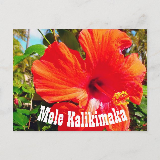 Mele Kalikimaka Postcard (Front)