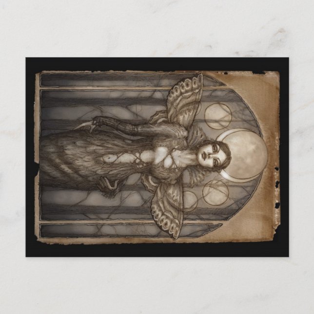 Melia Postcard (Front)