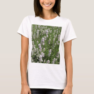 Melissa Lavender T-Shirt
