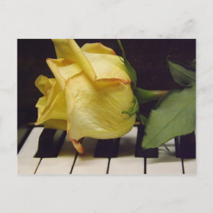 Melody Of A Rose Postcard
