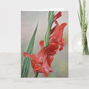 Melon Red Toned Gladiolus flowers Note Card