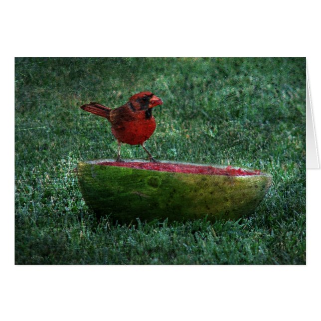 Melon Treats (Front Horizontal)