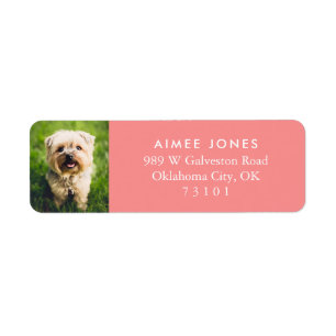 Melon Your Pet's Photo Custom Return Address Label