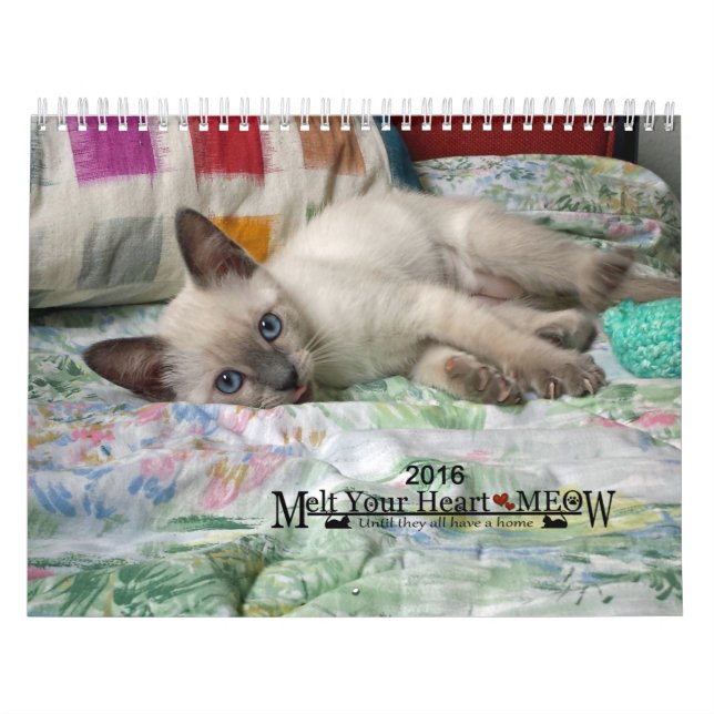 Melt Your Heart - MEOW 2016 Kitten Calendar (Cover)