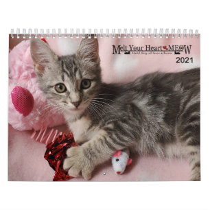 Melt Your Heart - MEOW 2021 Kitten Calendar
