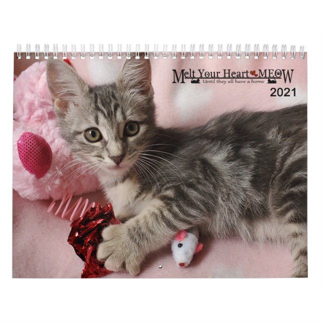 Melt Your Heart - MEOW 2021 Kitten Calendar (Cover)