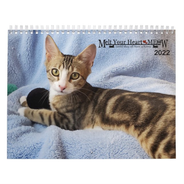 Melt Your Heart - MEOW 2022 Kitten Calendar (Cover)