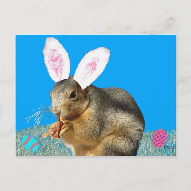 Melvin Cottontail Postcard (Front)