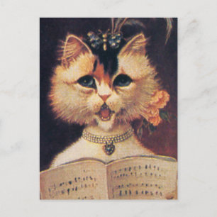 Member of the Choir Postcard