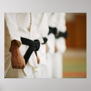 Members of a Judo Dojo Lined Up Poster