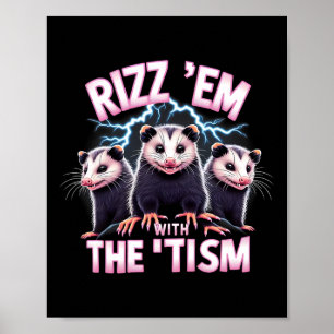 Meme Autistic Opossum Rizz Em With The Tism Autism Poster