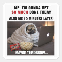 Meme Sticker