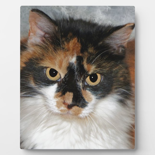 MeMeow Plaque (Front)