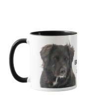 Memorial Black Lab Pet Dog Photo Name Year