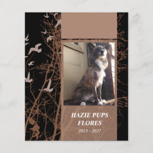 memorial cards silhouscreen birds