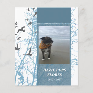 memorial cards silhouscreen birds