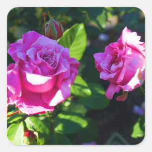 Memorial Day Rose #1 Stickers