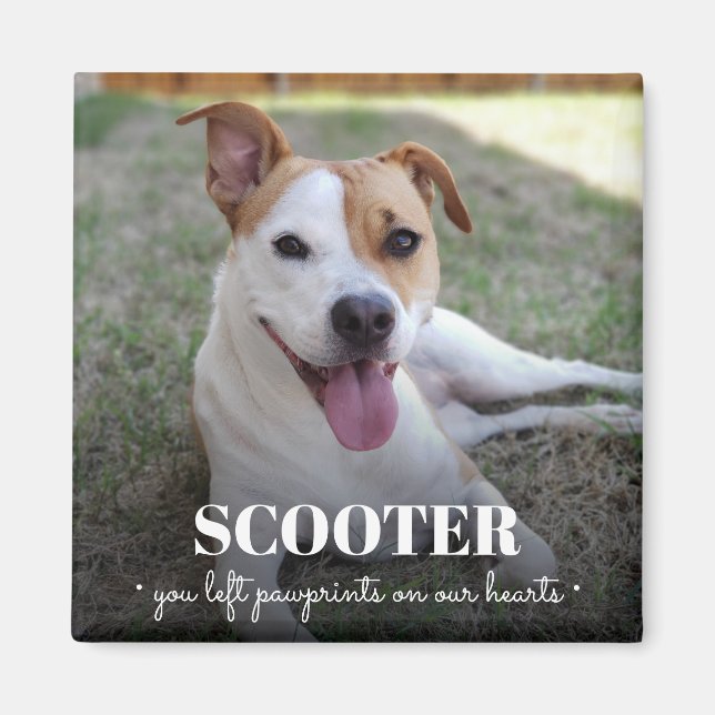 Memorial Dog Photo Pawprints On Our Hearts Magnet (Front)