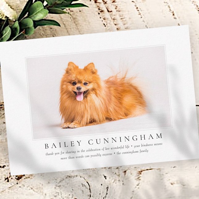 Memorial Funeral For Pet Elegant Chic Modern Photo Thank You Card (Creator Uploaded)