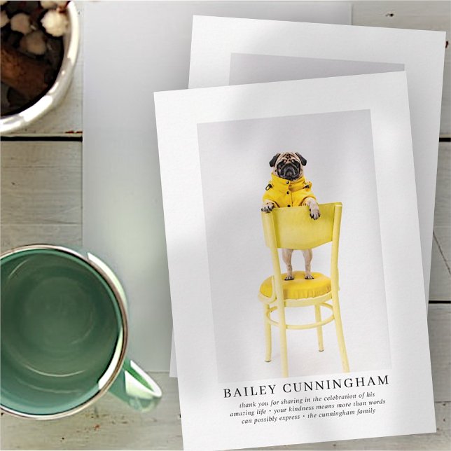 Memorial Funeral For Pet | Elegant Modern Photo Thank You Card (Creator Uploaded)