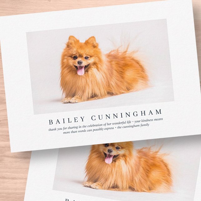 Memorial Funeral For Pet | Elegant Modern Photo Thank You Card (Creator Uploaded)