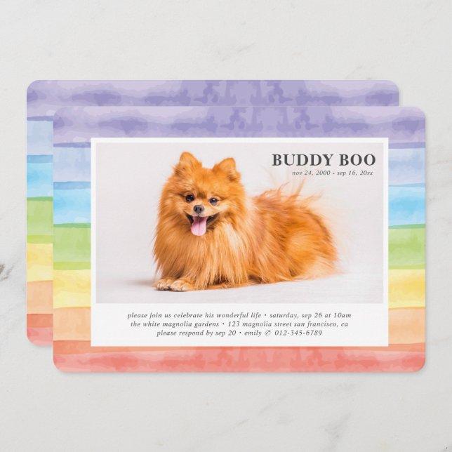 Memorial | Modern Watercolor Rainbow Pet Photo Invitation (Front/Back)