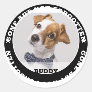 Memorial Quote Modern Pet Photo Sympathy Classic Round Sticker