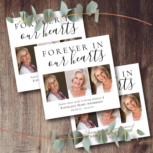 Memorial Seed Packet Forever in Our Hearts Photos Envelope (Creator Uploaded)