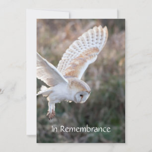 Memorial Service Invite Barn Owl Bird Flight