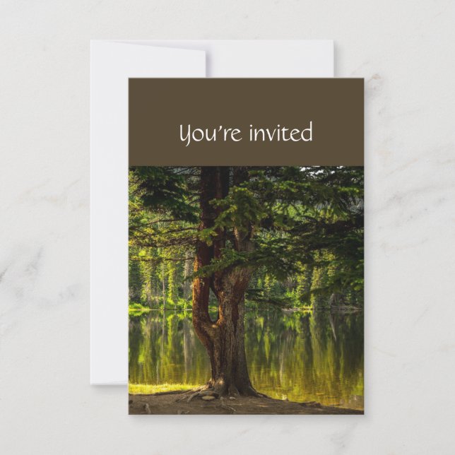 Memorial Service Invite Lake Tree Shore Nature (Front)