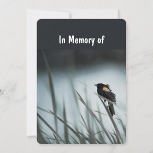 Memorial Service Invite Wetlands Marsh Blackbird 
