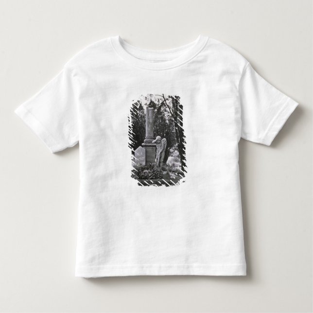 Memorial to Wolfgang Amadeus Mozart Toddler T-Shirt (Front)