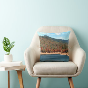 Memories of Ewing Reservoir...... Cushion