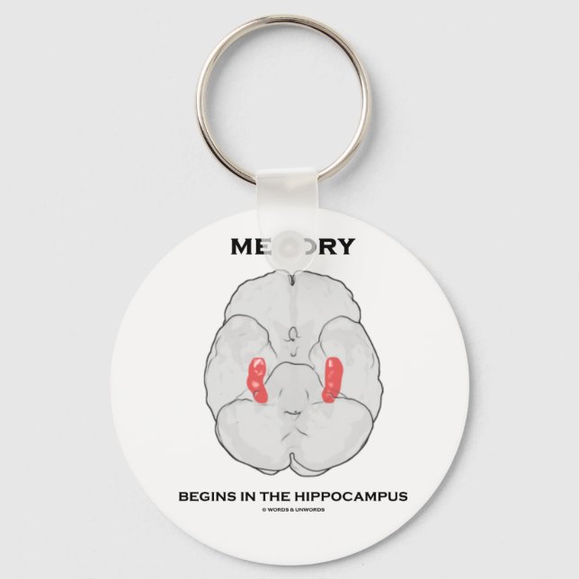 Memory Begins In The Hippocampus (Psychology) Key Ring (Front)