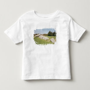 Men-er-Hroech'h Toddler T-Shirt