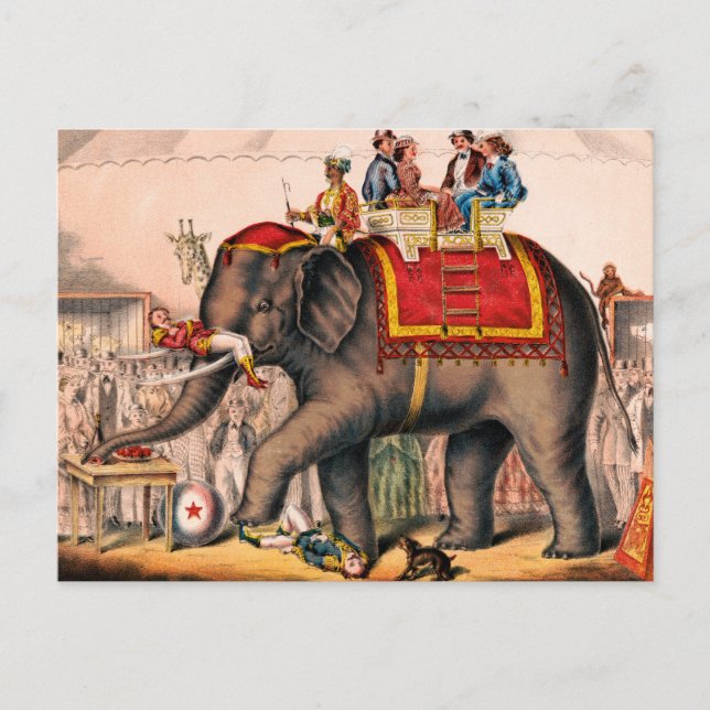 Men Performing A Circus Act With An Elephant. Postcard (Front)