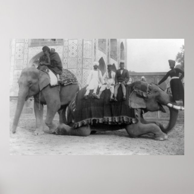 Men Riding Elephants in India PhotographIndia Poster (Front)