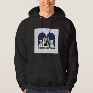 Men student hoodie
