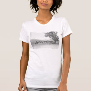 Men with packhorses looking over a hill T-Shirt
