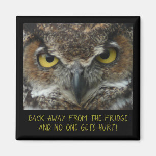 Menacing Owl Photo - PERFECT DIET MAGNET! Magnet
