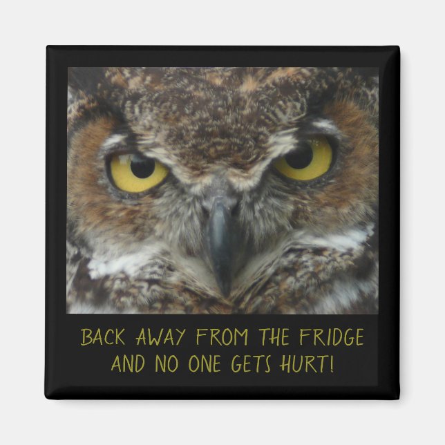 Menacing Owl Photo - PERFECT DIET MAGNET! Magnet (Front)