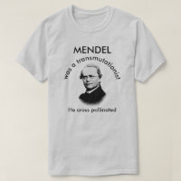 Mendel Crossed Pollinated