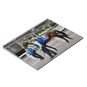 Mendelssohn Notebook
